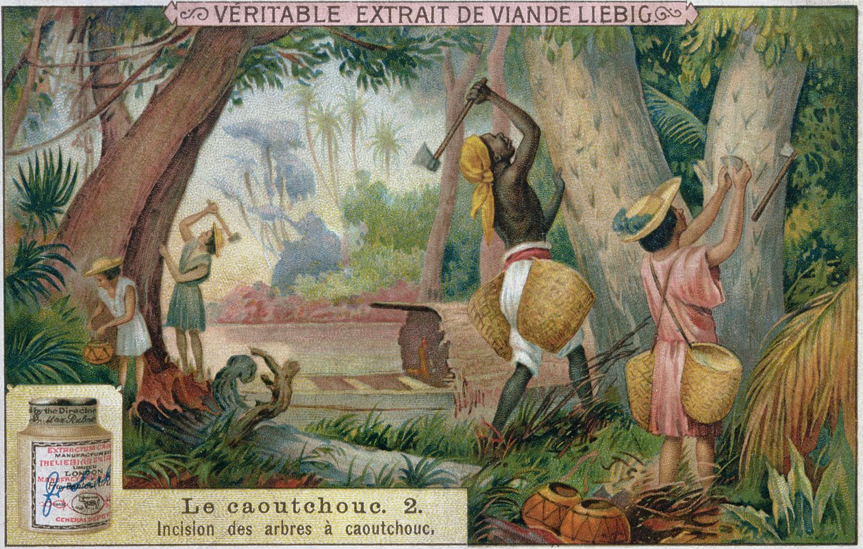 Klepání gumovníku, propagační reklamní karta pro Veritable Extrait de Viande Liebig, konec 19. století od French School