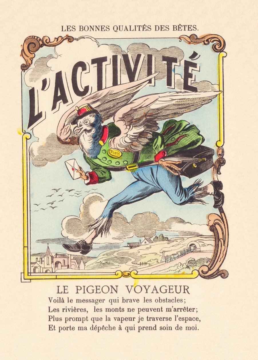 Aktivita. Holub pasažér kolem roku 1900 (tisk z Epinalu) od French School
