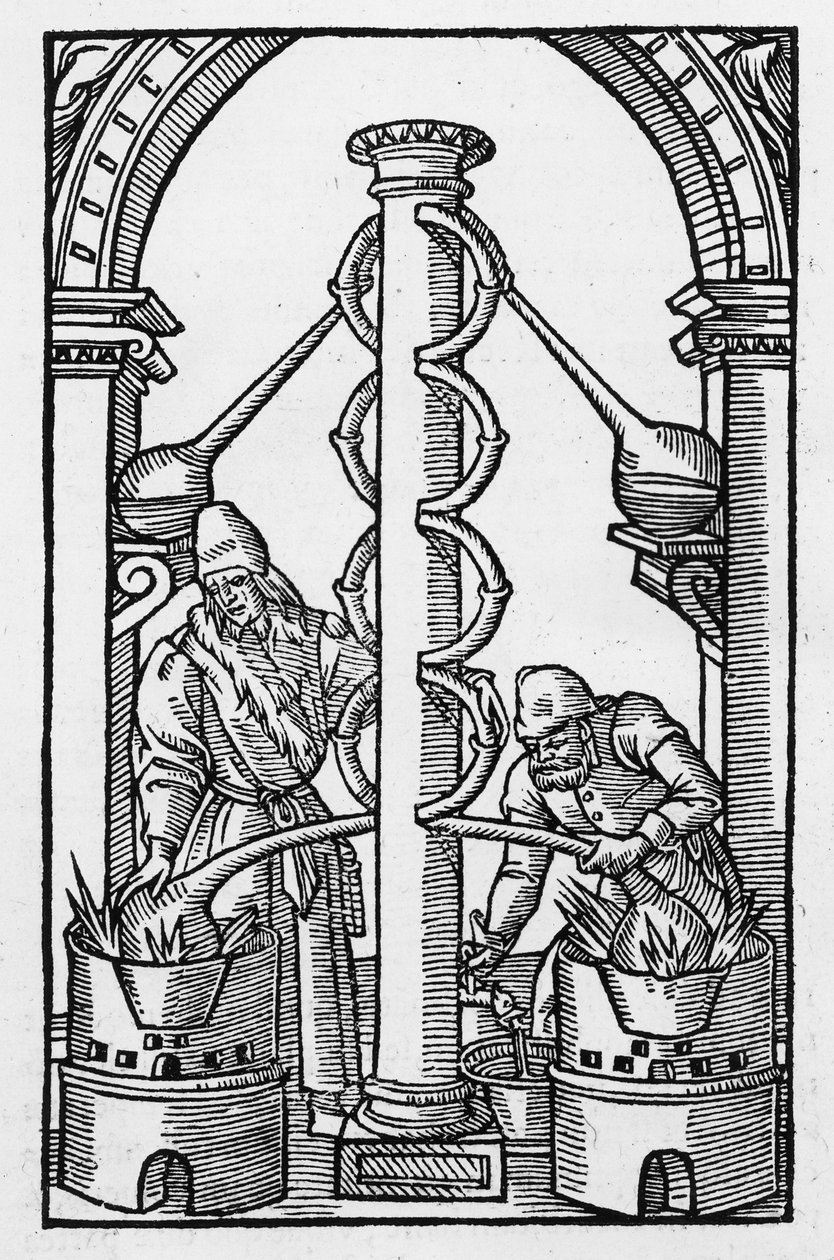 The Alchymist at Work, kopie ilustrace z „Coelum Philosophorum“ od Philippa Ulstadia, Paříž 1544, použitá v „History of Magic“, vydané koncem 19. století od French School