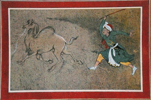 Rozzlobený velbloudář, ilustrace z "Arabských nocí od French School