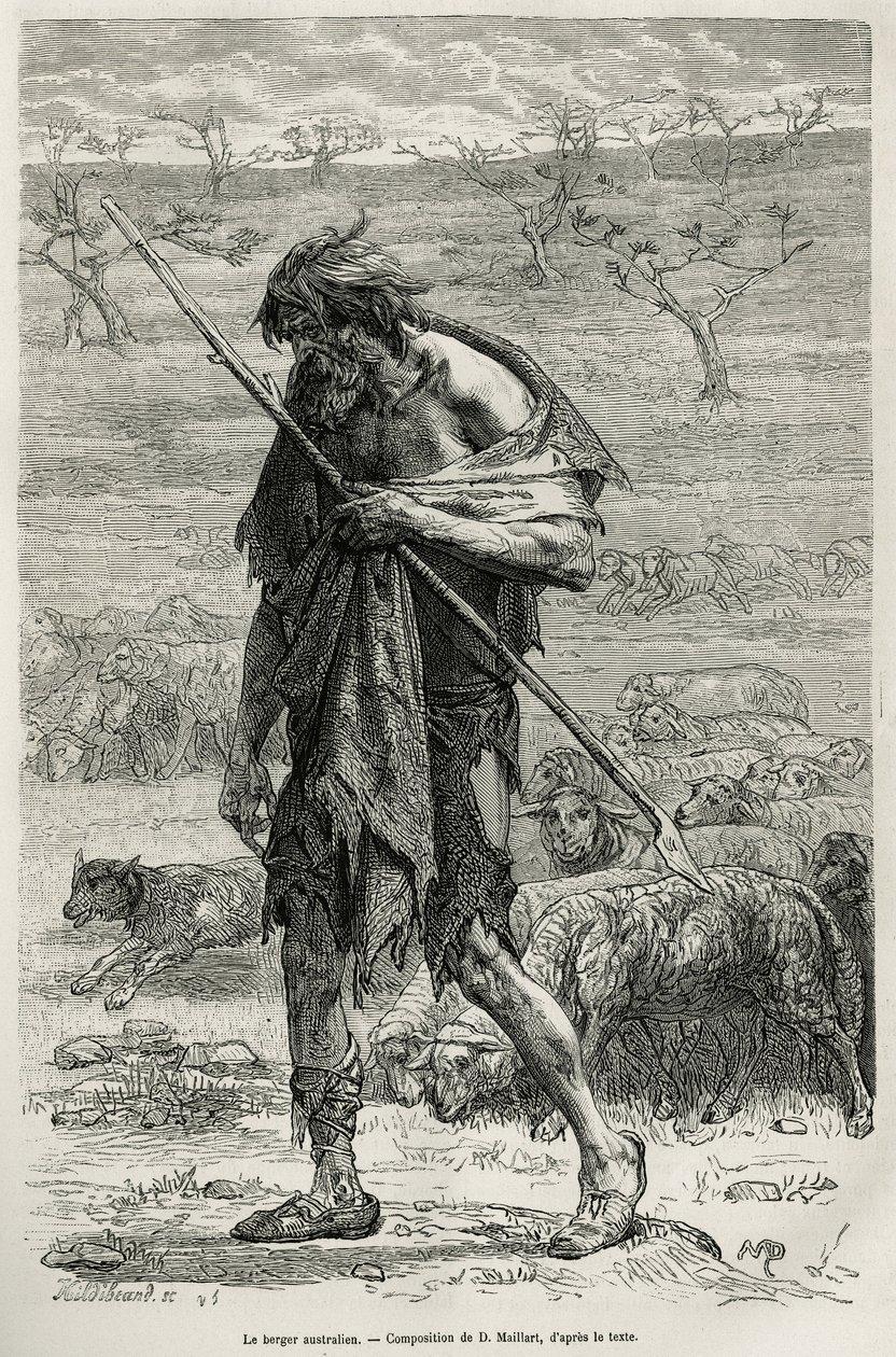Australský ovčák, vyrytý podle kresby D. Maillarta, pro ilustraci příběhu šest měsíců v Austrálii, Desire Charnay, misijní úkol ministerstva veřejného školství, v roce 1878, publikovaný v tour du monde, pod vedením E od French School