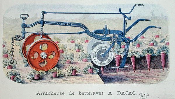 Stroj Bajac na zvedání červené řepy, cca 1900 (barevné rytí) od French School