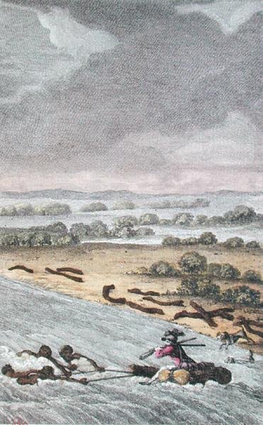 Sloní řeka, Jižní Afrika, vyryto Coiny od French School