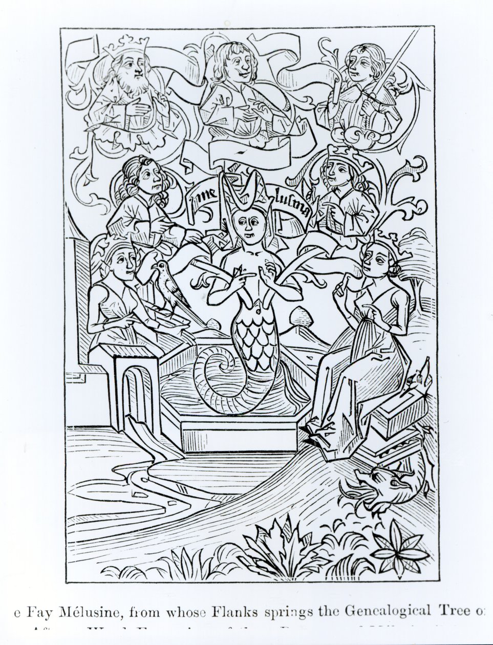 Fay Melusine, z jejíchž boků pramení Genealogický strom králů a císařů, ilustrace z vědy a literatury ve středověku a renesanci, napsal a vyryl Paul Lace od French School