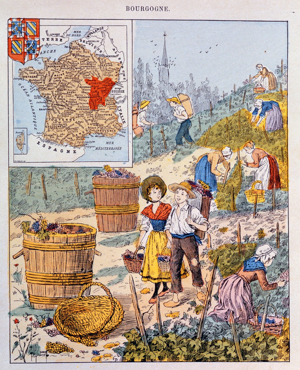 Sklizeň hroznů v Burgundsku, ilustrace ze školní učebnice, c.1910 od French School