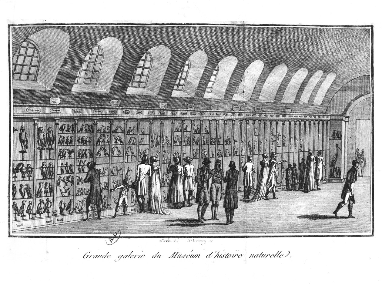 Velká galerie Přírodovědného muzea v Paříži od French School