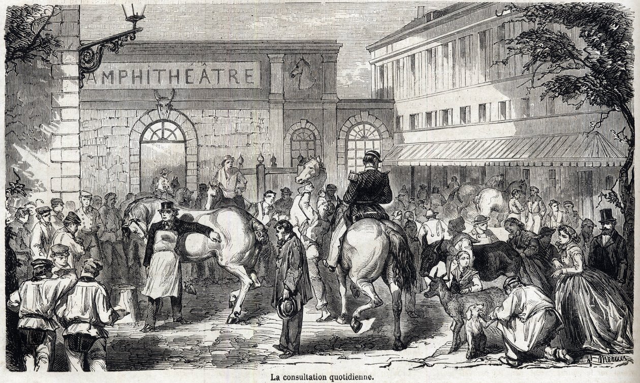 Národní veterinární škola Alfort - Les grandes écoles de France - Veterinární škola Maison Alfort v roce 1866 - Denní konzultace - Rytina v „Le monde illustrious““ z roku 1866 od French School