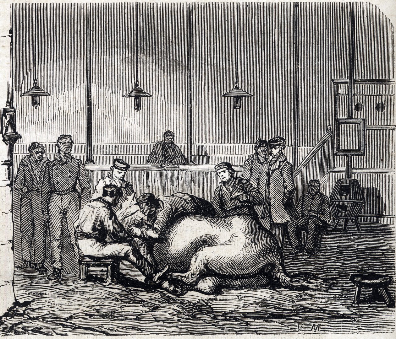 Národní veterinární škola Alfort - Les grandes écoles de France - Veterinární škola Maison Alfort v roce 1866 - pitevna - Rytina v „Le monde illustrious““ z roku 1866 od French School