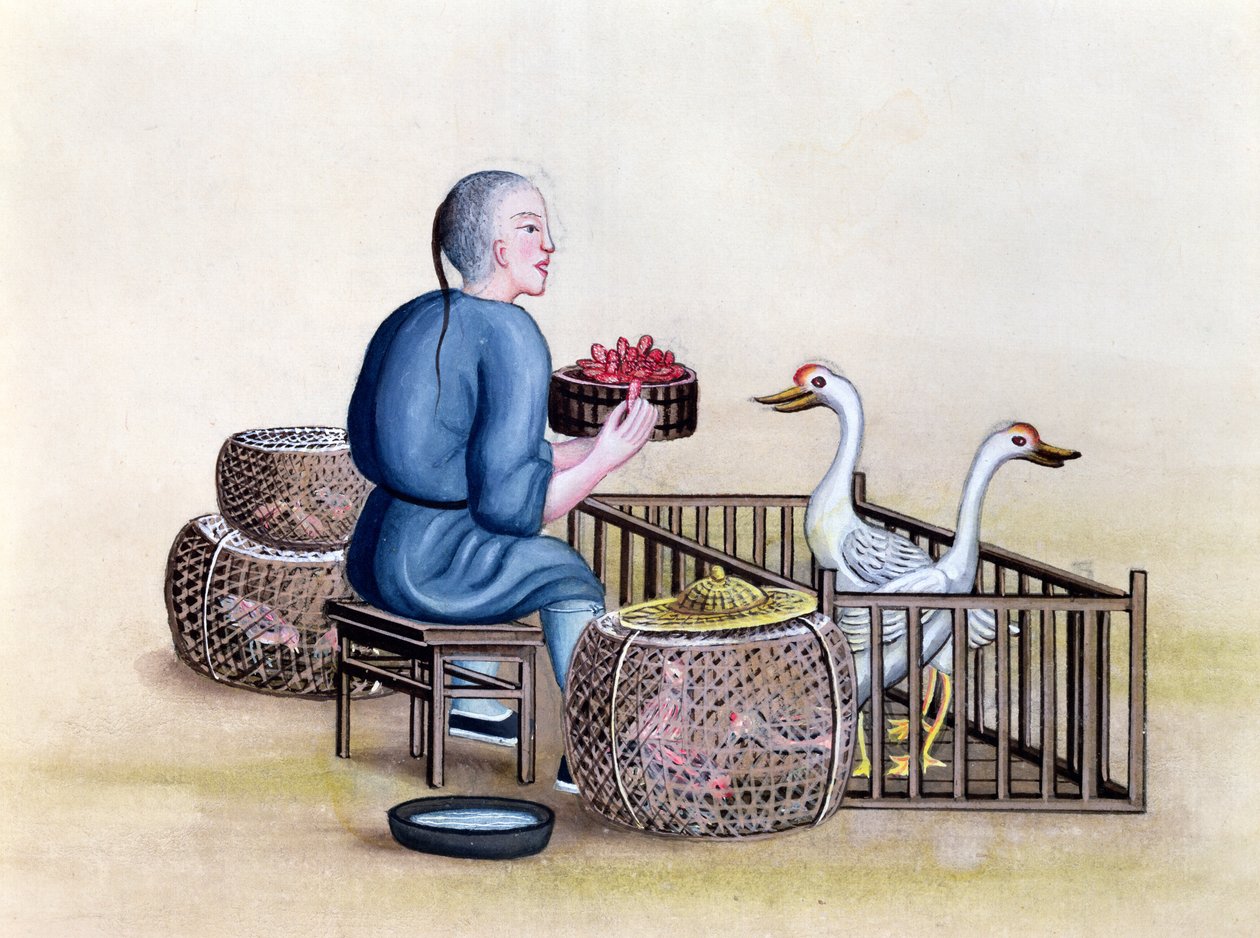 Obchodník s drůbeží, z knihy o pouličních hovorech v Pekingu, asi 1785 (čb a kvaš na papíře) od French School