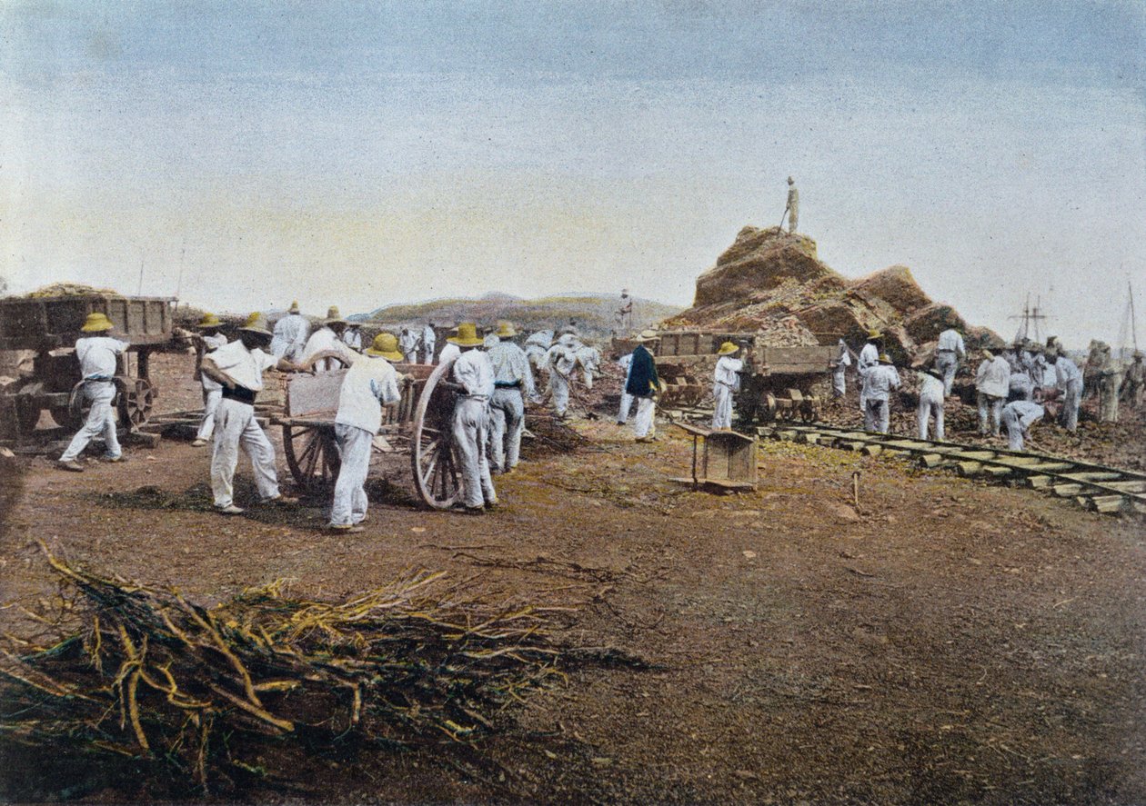 Vězni při práci v trestanecké kolonii Noumea v Nové Kaledonii, rytina Gillot, cca 1900 od French School