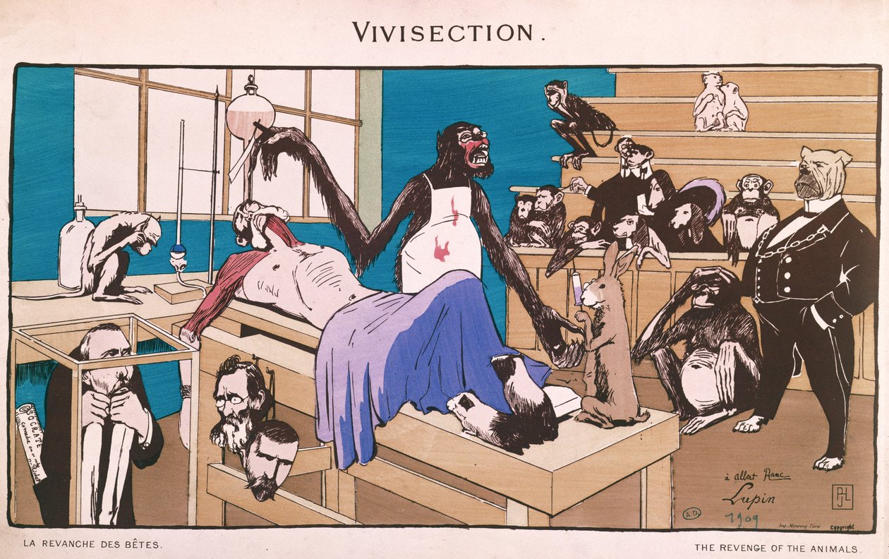 Pomsta zvířat, karikatura vivisekce, 1909 od French School