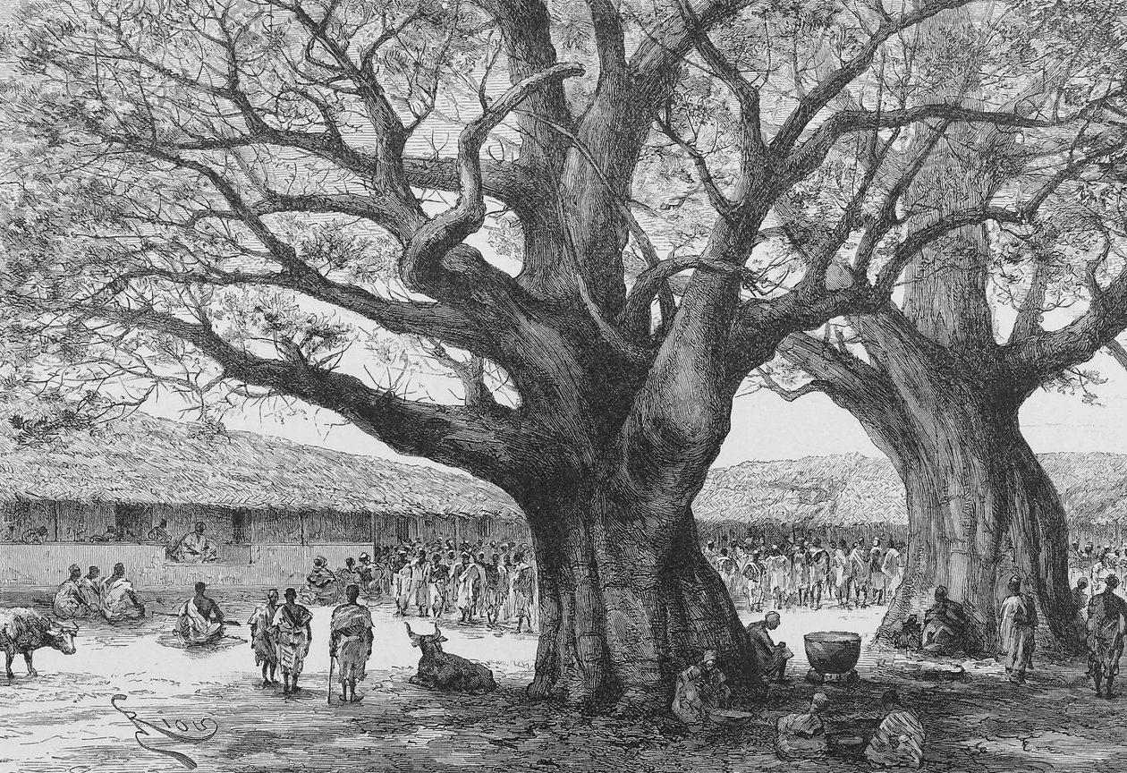 Královská rezidence v Aouabou, ilustrace z "Du Niger au Golfe de Guinee...", Louis Gustave Binger, 1892 od French School