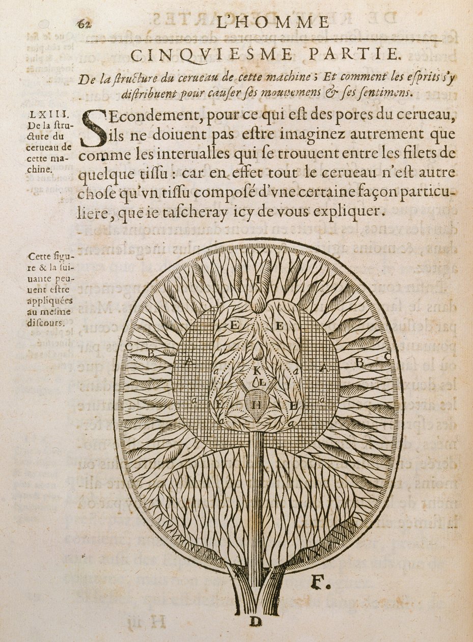 Struktura mozku, z De Homine Figuris od René Descartes (1596-1650), publikovaná v Haagu, 1662 od French School