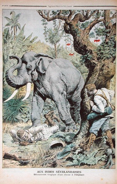 Tragický konec lovu slonů v Indii, ilustrace z Le Petit Journal, 25. listopadu 1906 od French School