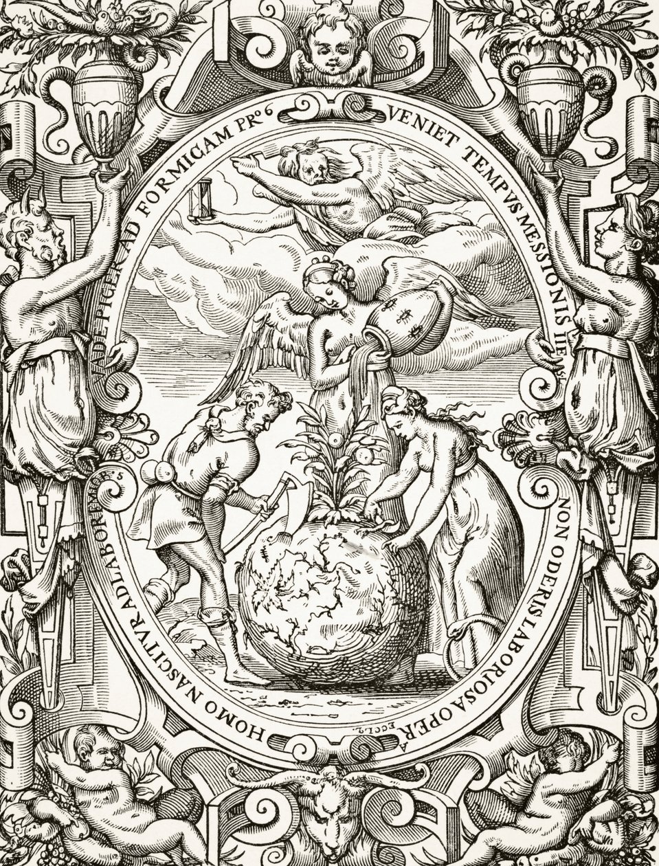 Rostlinná říše, z knihy Věda a literatura ve středověku od Paula Lacroixe (1806-84), vydané v Londýně 1878. od French School