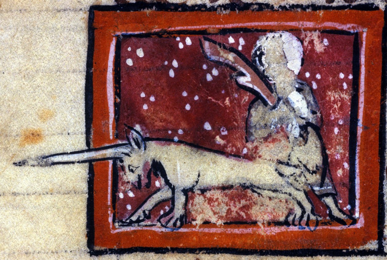 Panna a jednorožec (Unicorn) - francouzský bestiář ze 14. století. Milán, Biblioteca Trivulziana. od French School