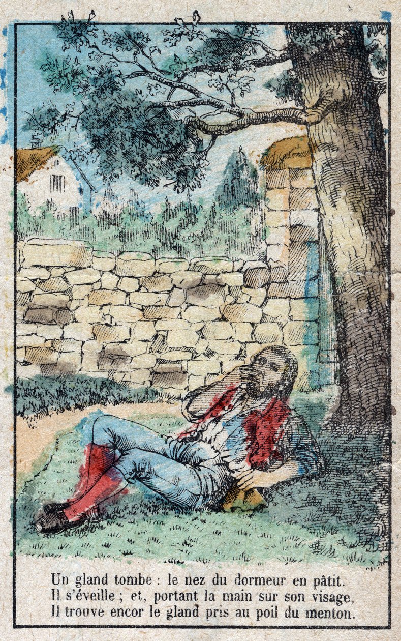 Žalud a dýně. Bajky Jean de La Fontaine (1621-95). Vyobrazení Epinalu z konce 19. století. od French School