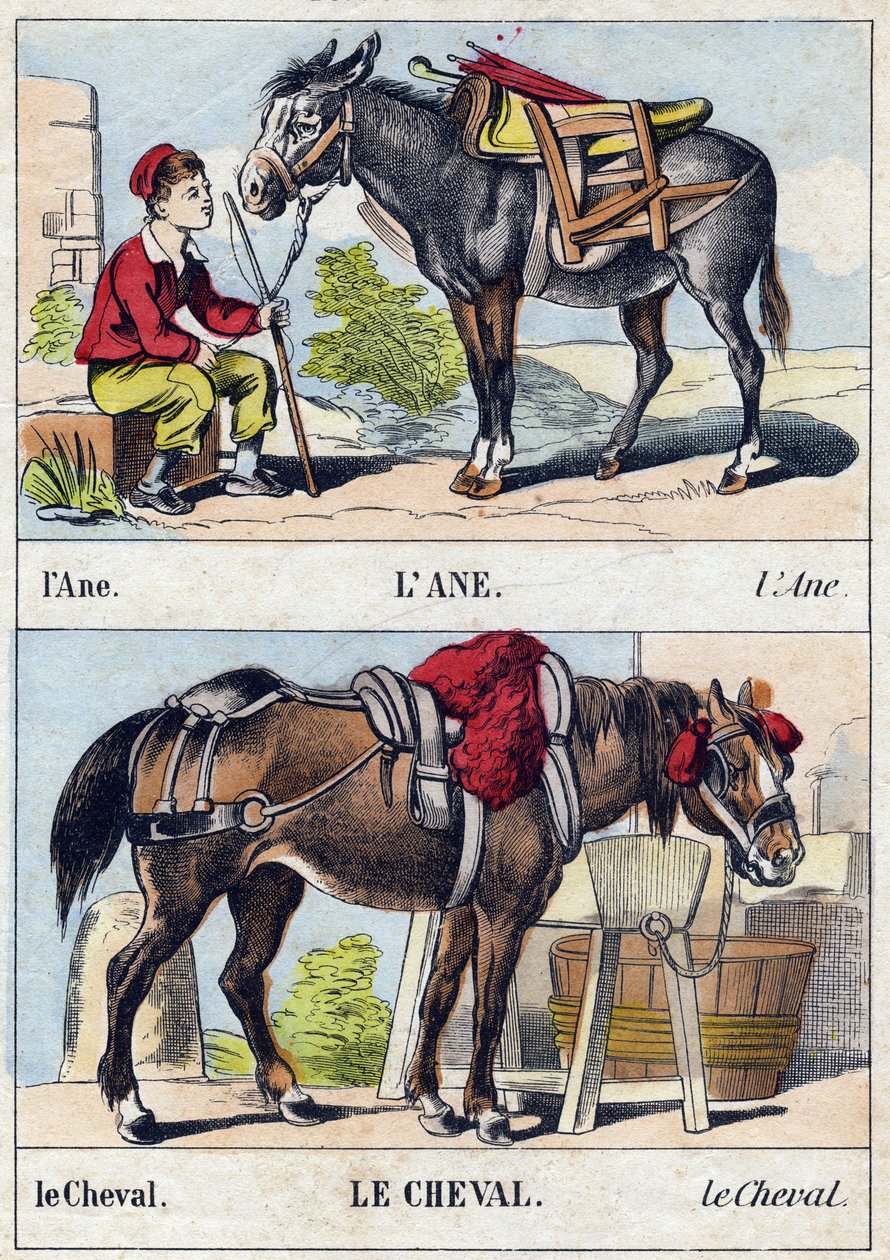Osel a kůň. Rytina v „Buffon Alphabet des Animaux". 3. série N 1. Imaging of Epinal, Epinal, konec 19. století. 16 stran. Rozměr: 28x21cm od French School