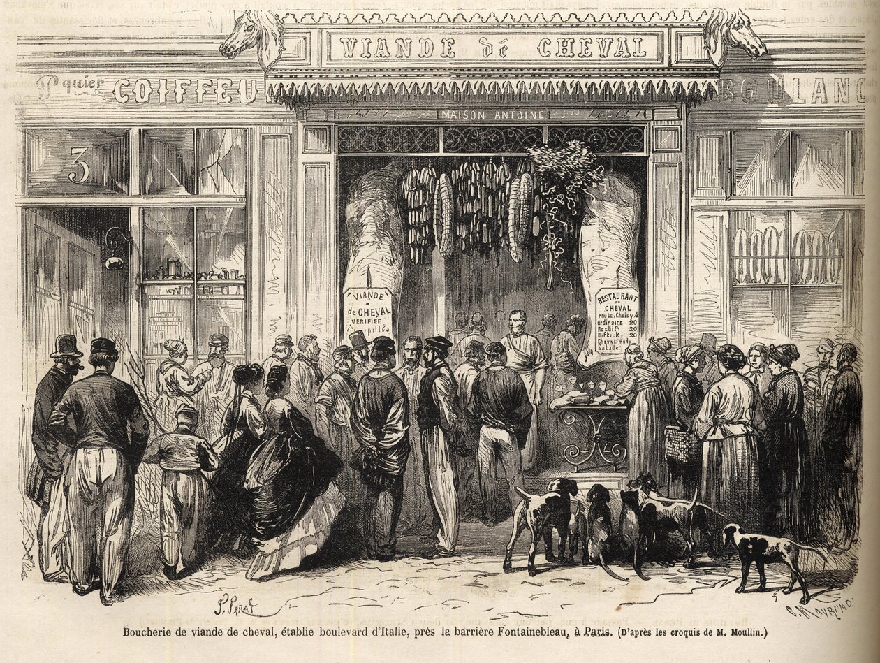 Koňské řeznictví v Bariéra de Fontainebleau (Paříž) otevřeno v roce 1866 - Butcherie chevaline - Boucherie Meat de Cheval Boulevard Itálie poblíž Bariéry de Fontainebleau 1866) Rytina v „Le monde illustrious“ de 1866 od French School
