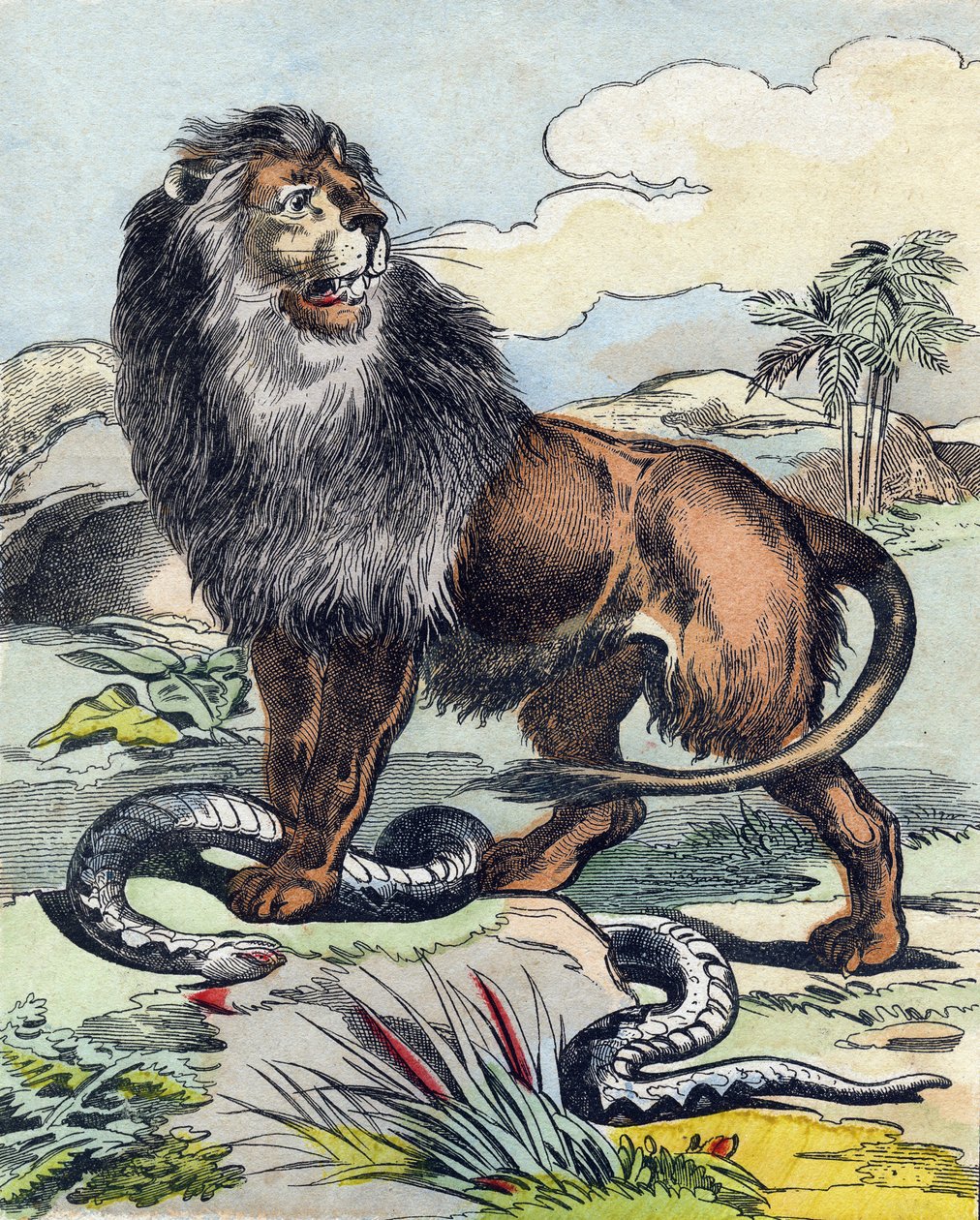 Lev. Rytina v „Buffon Alphabet des Animaux". 3. série N 1. Imaging of Epinal, Epinal, konec 19. století. 16 stran. Rozměr: 28x21cm od French School