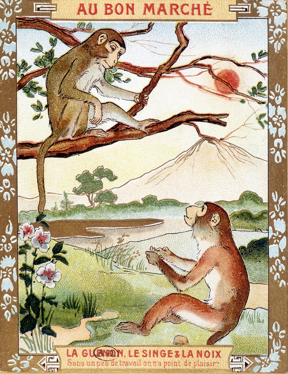 Opice a ořech (Fable by La Fontaine) – reklamní viněta Bon Marché od French School