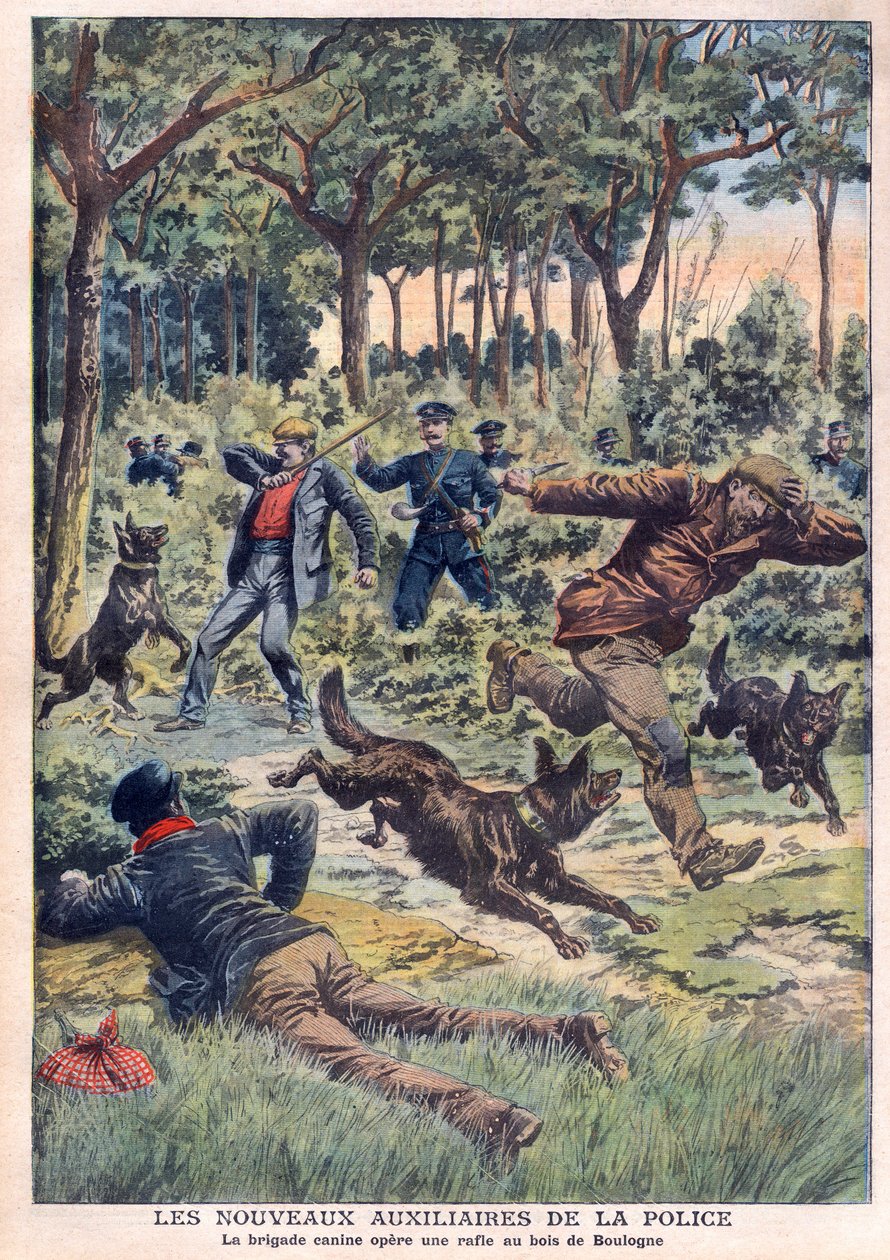 Nové policejní pomocné jednotky: kynologická brigáda provozuje zátah v Bois de Boulogne, ilustrace z „Le Petit Journal“ z 28. července od French School