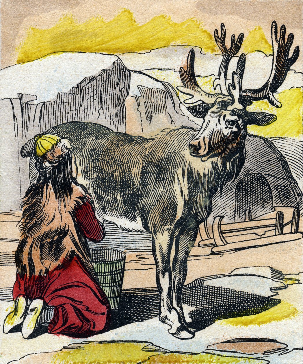 Dojení sobů. Rytina v „Buffon Alphabet des Animaux". 3. série N 1. Imaging of Epinal, Epinal, konec 19. století. 16 stran. Rozměr: 28x21cm od French School