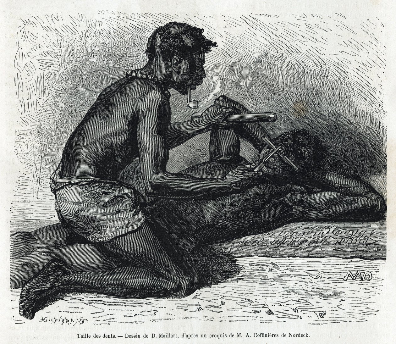 Velikost zubů v Okandě, kresba D. Maillarda, pro ilustraci příběhu o cestě do Gabonu a řeky Ogoue v letech 1875-1877 od Alfreda Marche. Rytina v Le tour du monde od French School