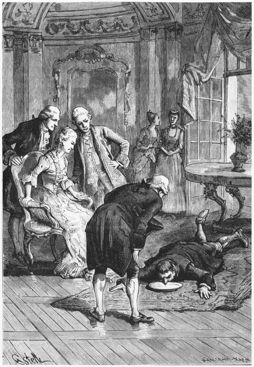 Náměsíčný Victor a markýz z Puysegur u Madame de Montessons, ilustrace z Les Mysteres de la Science od Louise Figuiera (1819-94) 1886 od French School