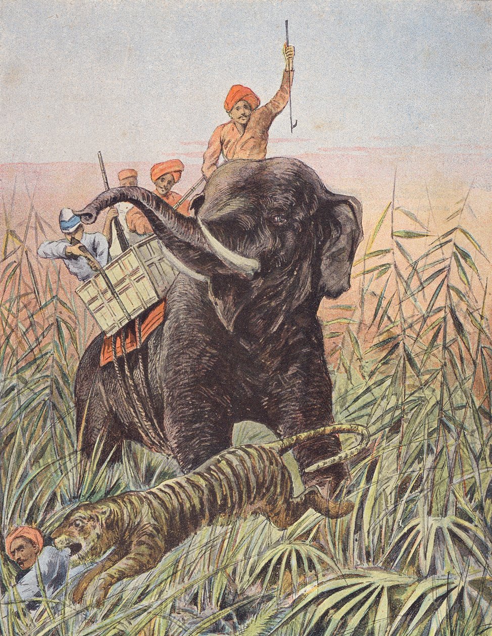 Hon na tygra, Indie (barevná litografie) od French School