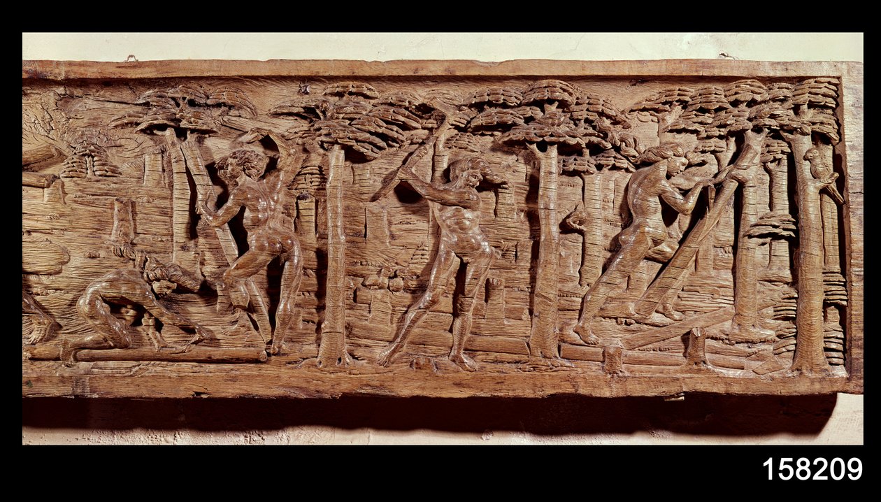 Obchod se dřevem z Brazílie, cca 1550 (dřevo) od French School