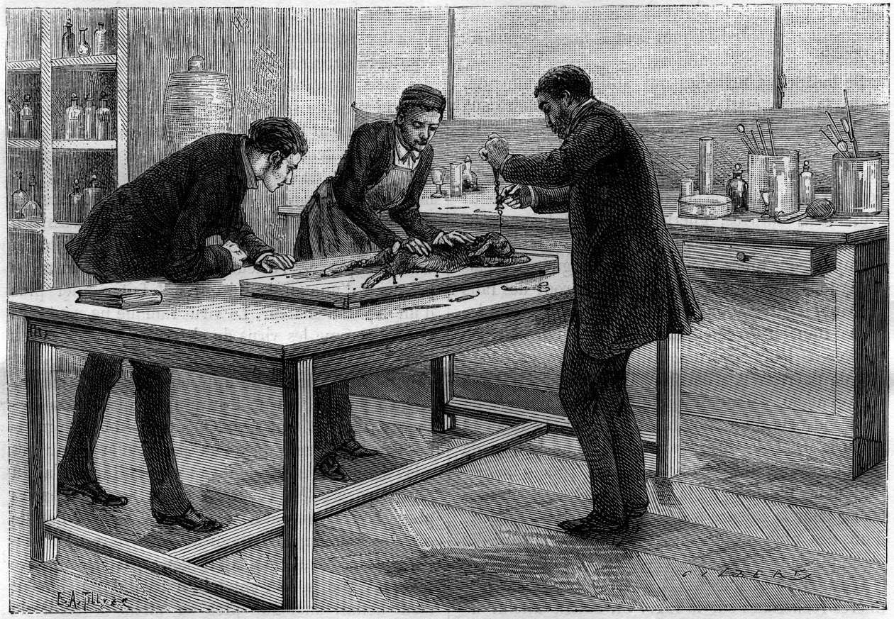 Trepanace králíka v laboratoři Louise Pasteura (1822-1895), pro studium vztekliny, kresba C. Gilberta d