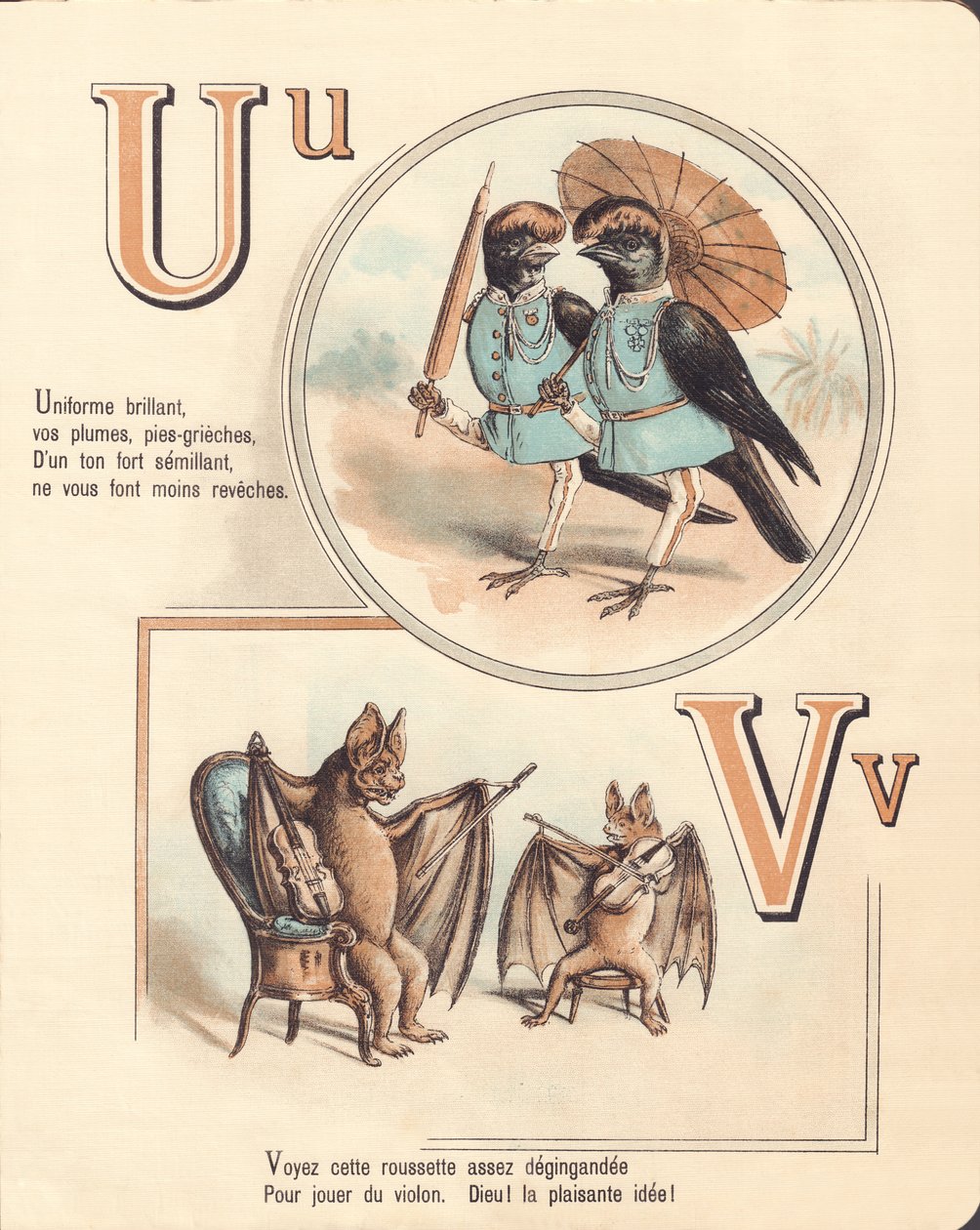 U V: Urubu, uniforma, upír, housle od French School