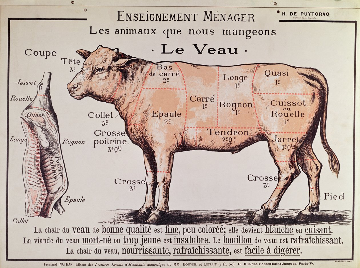 Telecí maso: diagram zobrazující různé kusy masa od French School