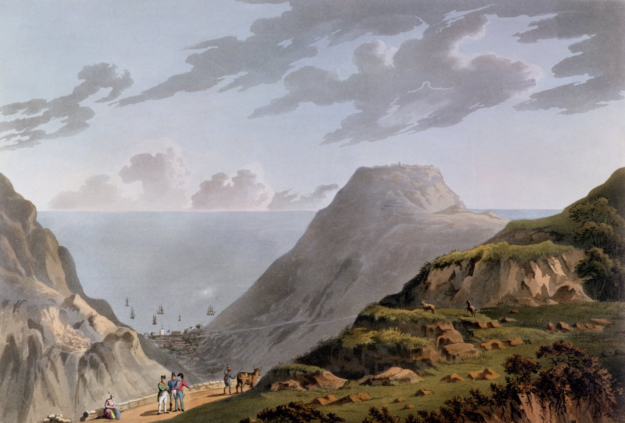 Pohled na Jamestown a cestu vedoucí do Longwoodu, kolem roku 1821 od French School