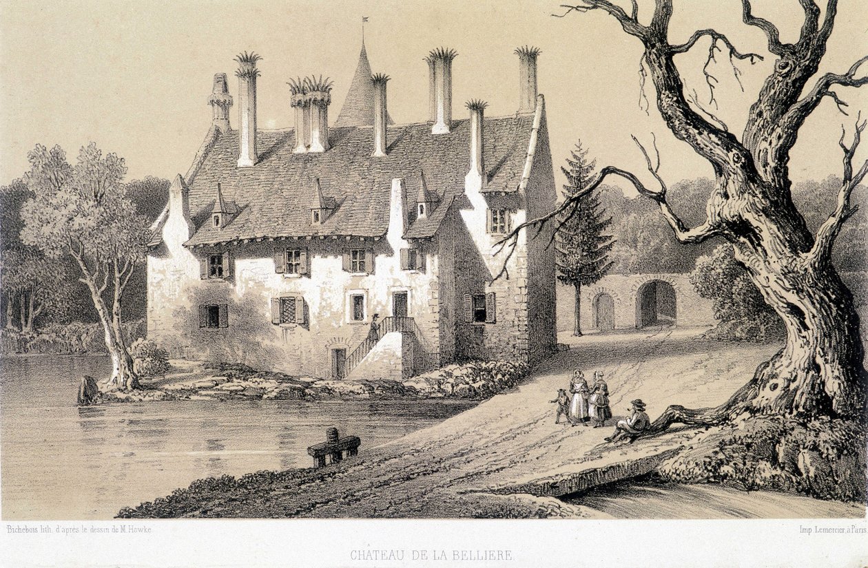 Pohled na Chateau de la Belliere (Cote d