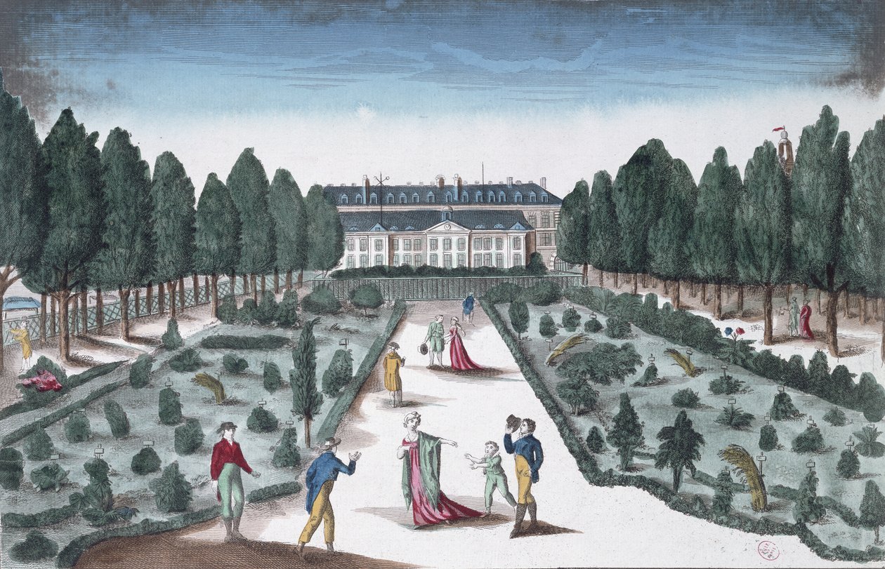 Pohled na Jardin des Plantes, od zábradlí poblíž Seiny (barevná rytina) od French School