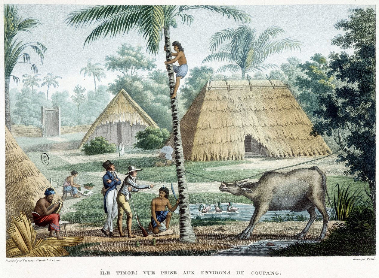 Pohled pořízený v blízkosti Coupang, ostrov Timor. od French School