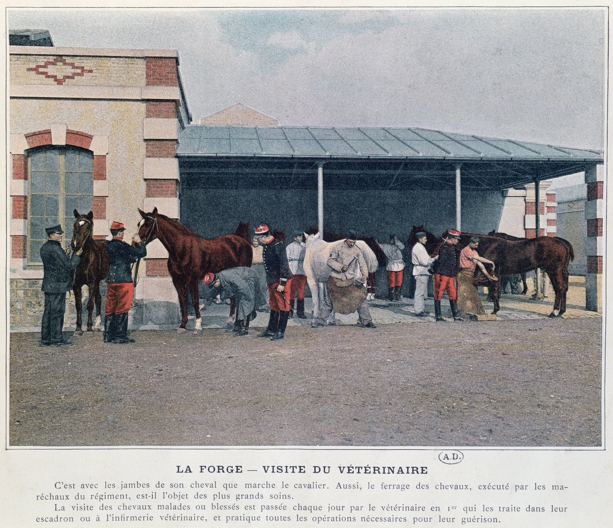 Návštěva armádního zvěrolékaře v kasárnách, 1897 (barevné lito, po kolorované fotografii) od French School