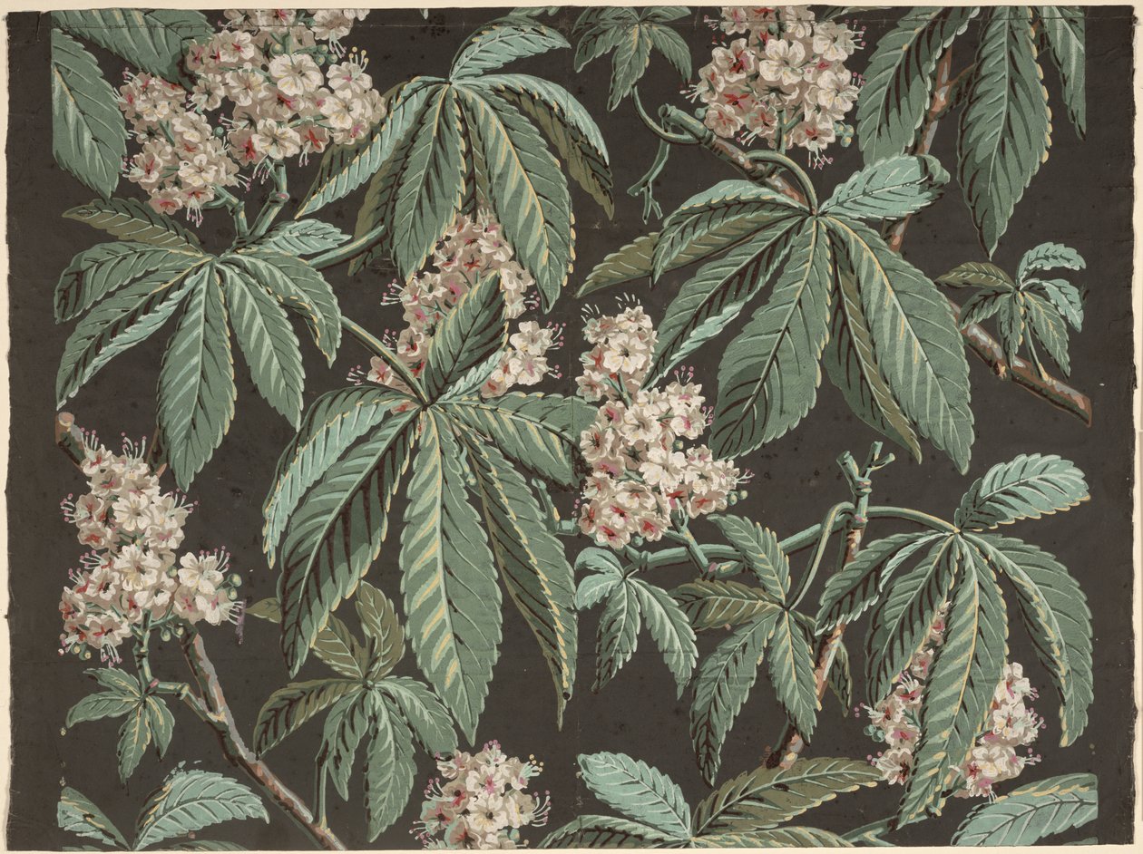 Design tapety s Chestnut Branch (detail) ca. 1810, výrobce Josef Dufour (1752-1827), Paříž, od French School