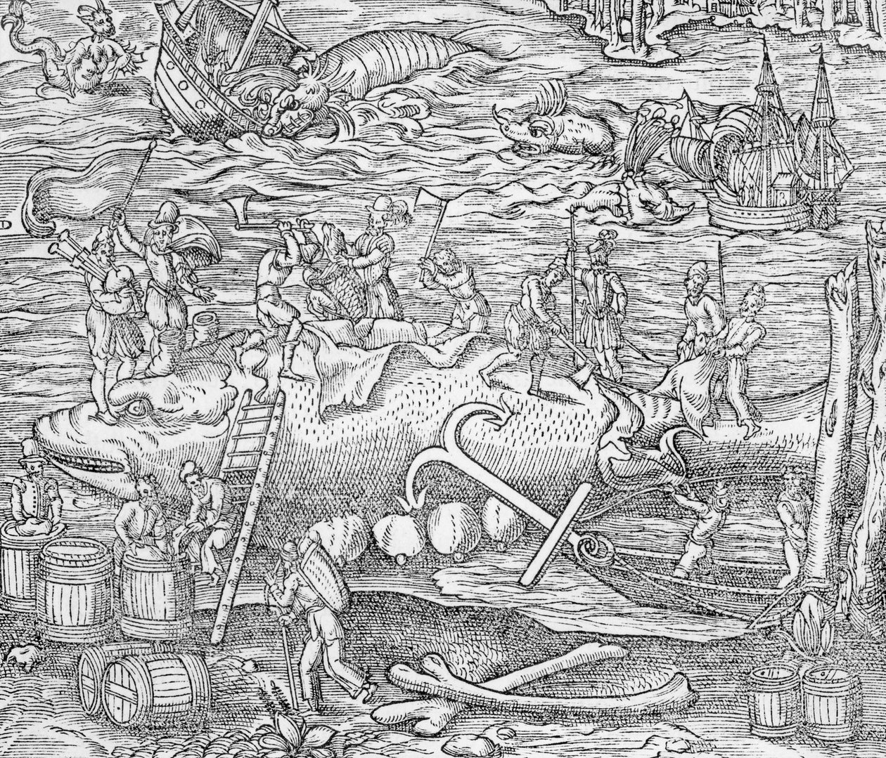 Lov velryb, Ilustrace z "Cosmographie Universelle", Andre de Thevet od French School