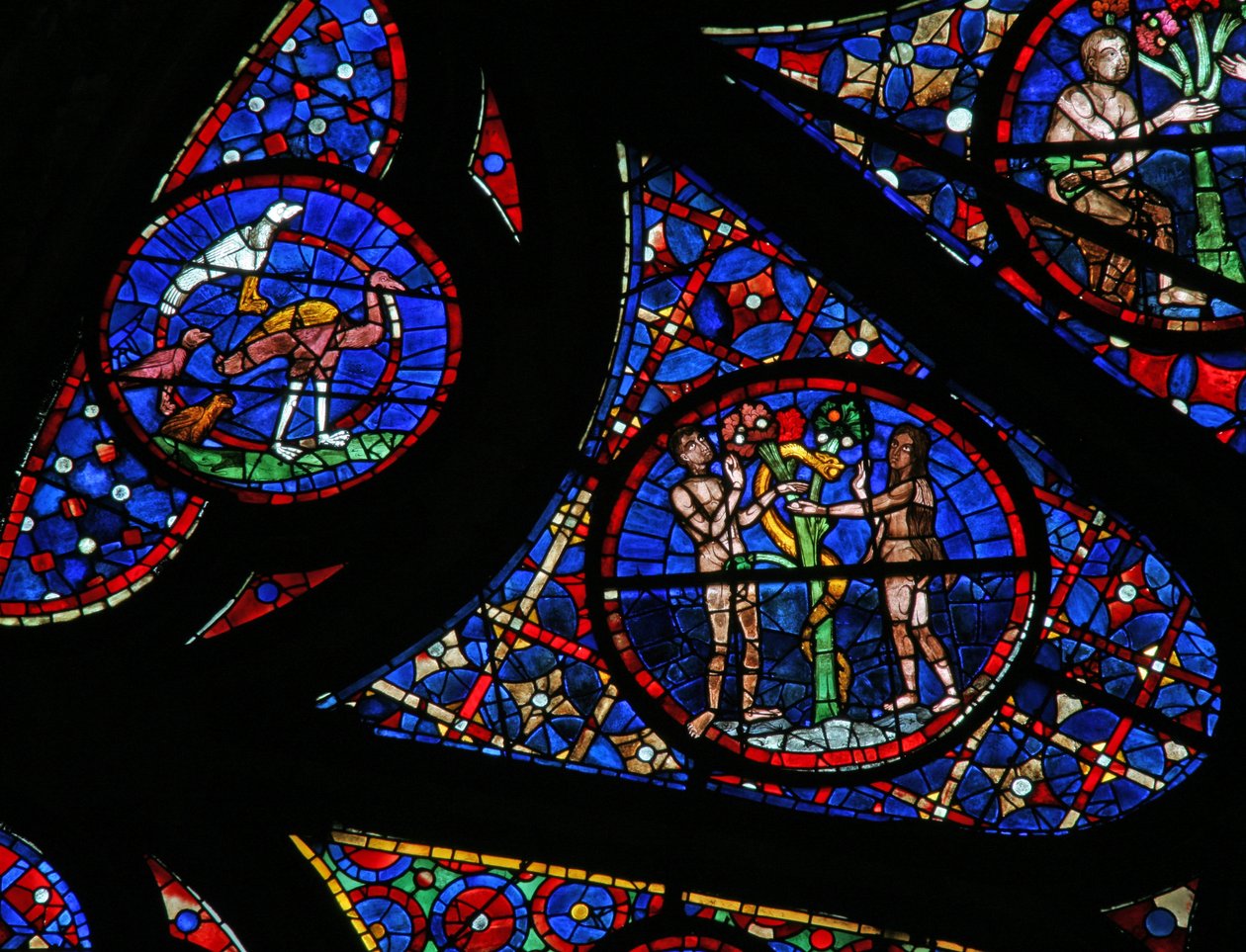 Okno w115 zobrazující Stvoření: ptáci, Adam a Eva a had od French School