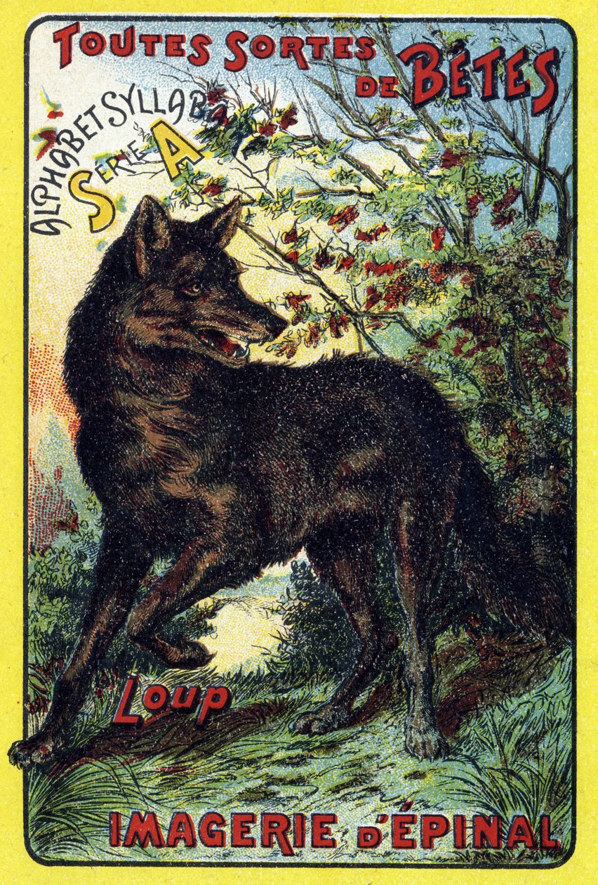 Vlk. Obálka "Syllabar abeceda všechny druhy řepy". Serie A. Pellerin et Cie, tiskaři-nakladatelé, Epinal, konec 19. století. Chromolitografy. Malé 8stránkové reklamní album obsahující slabikář a obrázky doplněné popisnými texty. Dimen od French School
