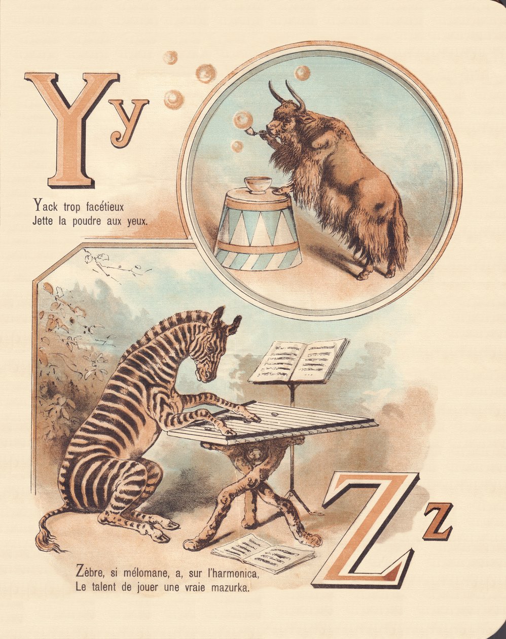 Y Z: Jak, zebra od French School