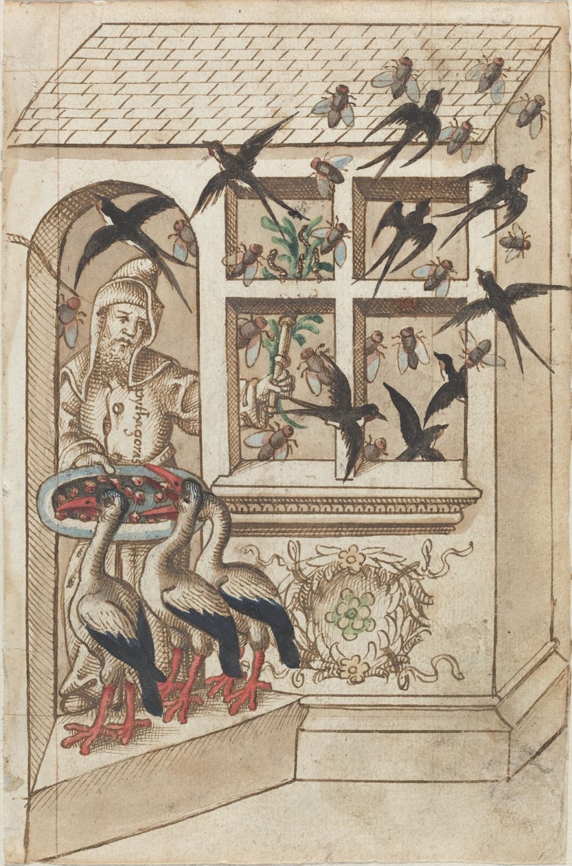 „Nemít vlaštovky pod stejnou střechou“ [fol. 40 recto] od French early 16th Century