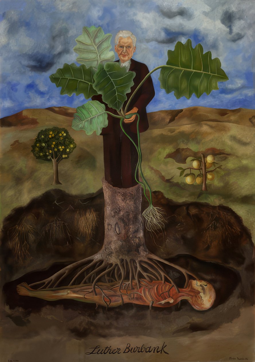 Retrato de Luther Burbank od Frida Kahlo