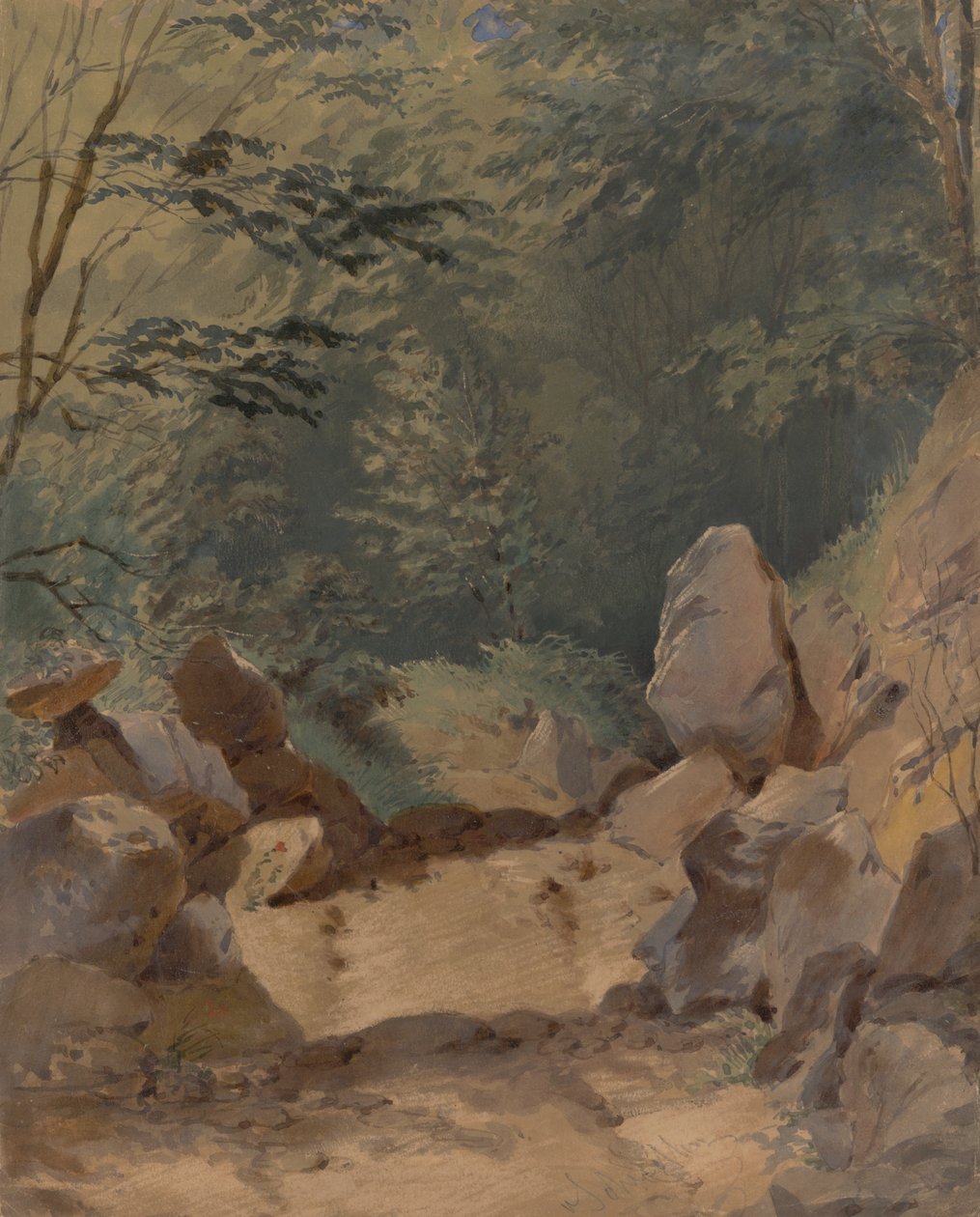 Lesní krajina s kameny od Friedrich Carl von Scheidlin