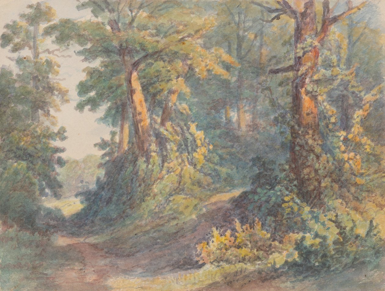 Lesní krajina od Friedrich Carl von Scheidlin