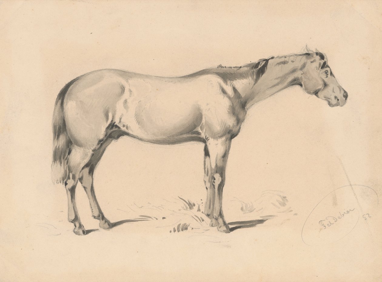 Studium koně I od Friedrich Carl von Scheidlin