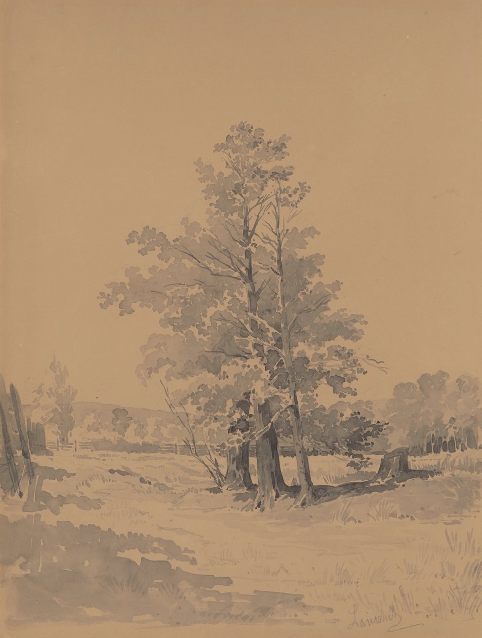 Stromy na okraji lesa od Friedrich Carl von Scheidlin